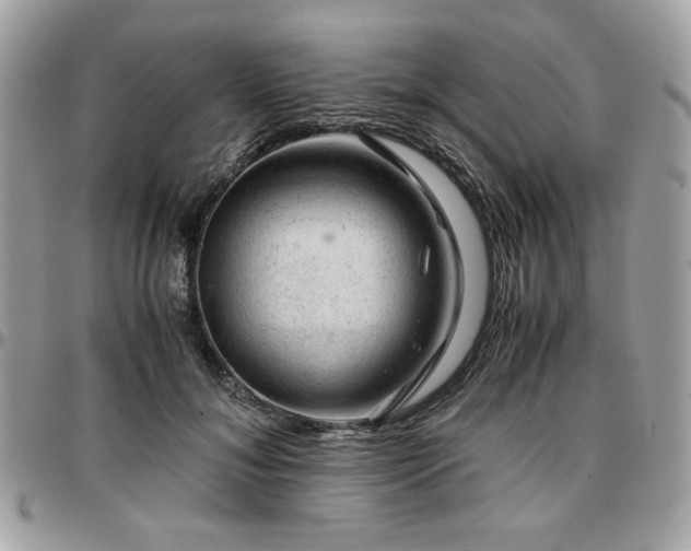X0000096940700200802081206
