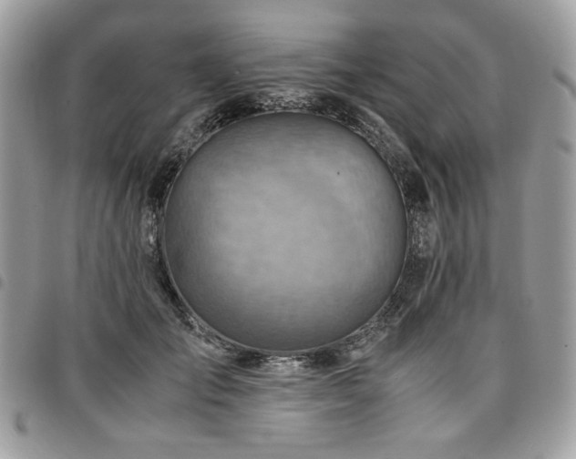 X0000096940701200802081206