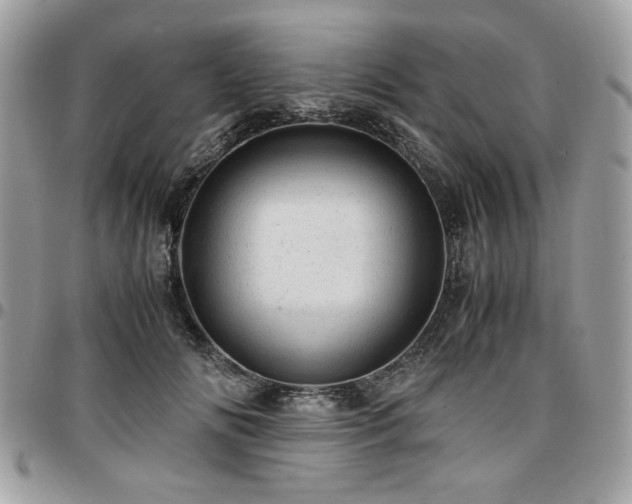 X0000096940702200802081206