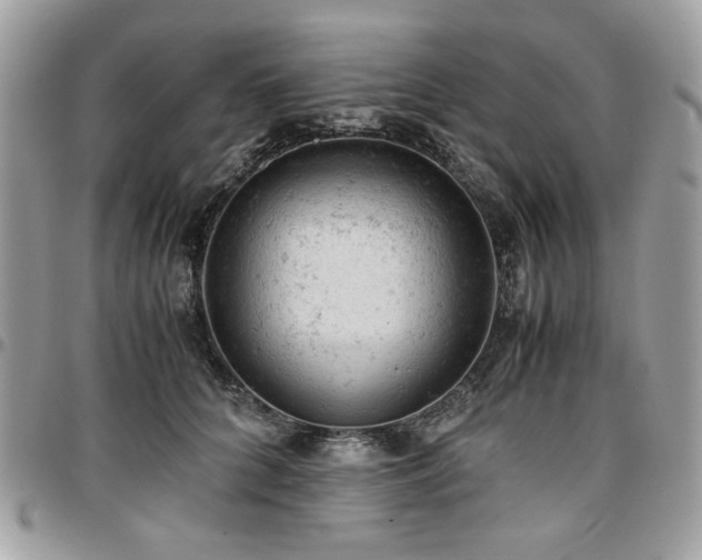 X0000096940704200802081206