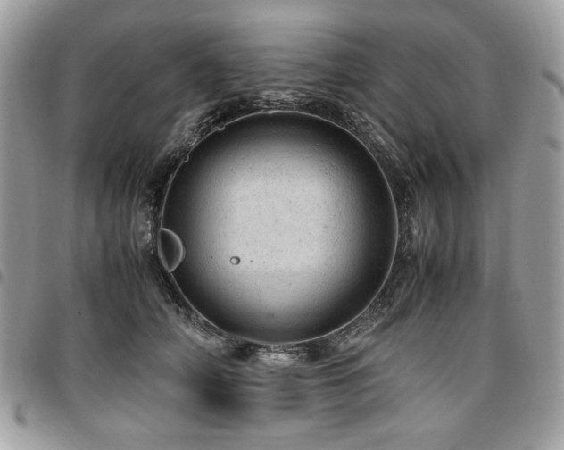 X0000096940706200802081206