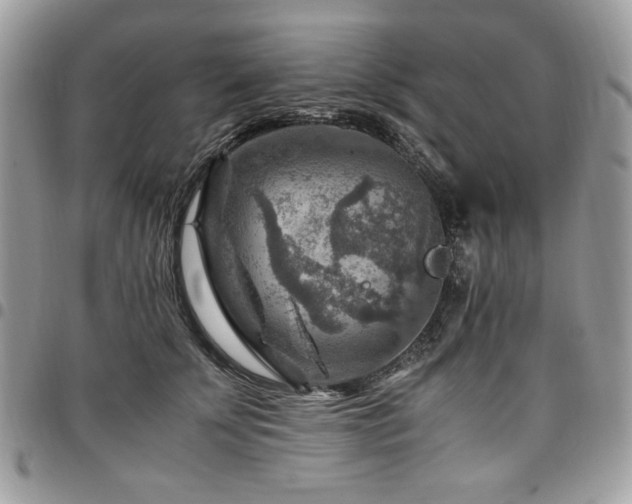 X0000096940707200802081206