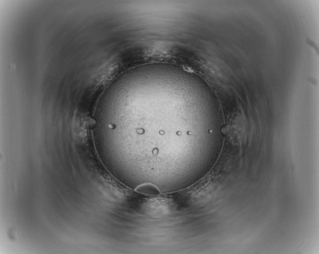 X0000096940708200802081206