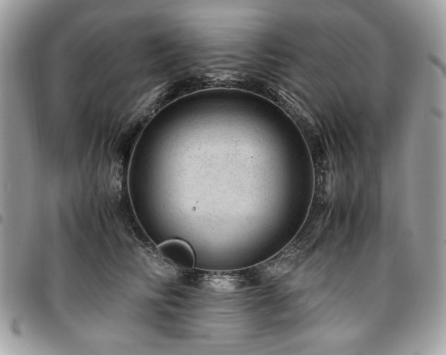 X0000096940710200802081206
