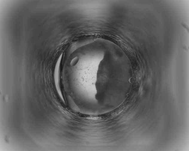 X0000096940711200802081206