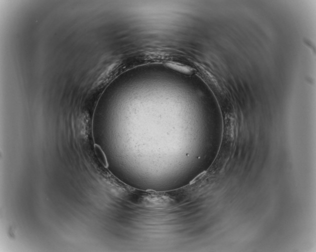 X0000096940712200802081206