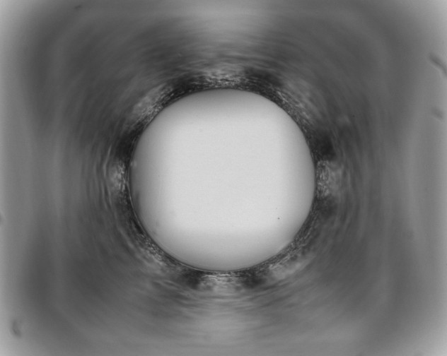 X0000096940713200802081206