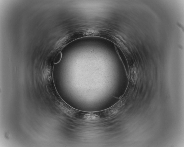 X0000096940714200802081206