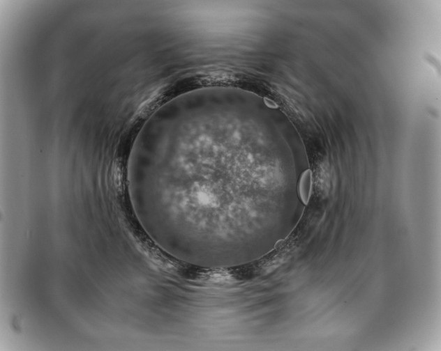 X0000096940715200802081206