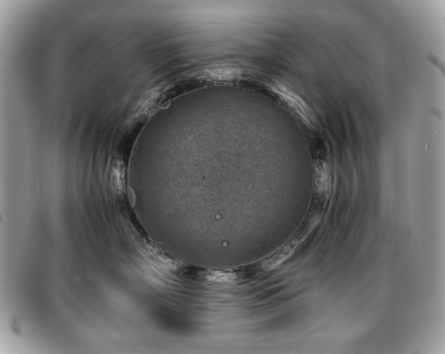 X0000096940718200802081206