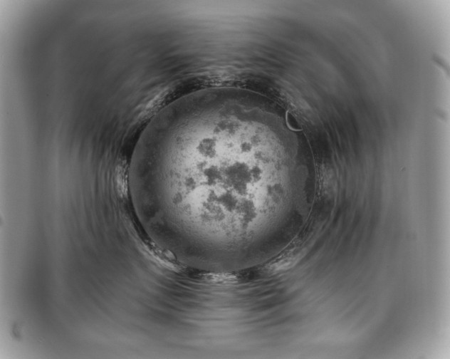 X0000096940719200802081206