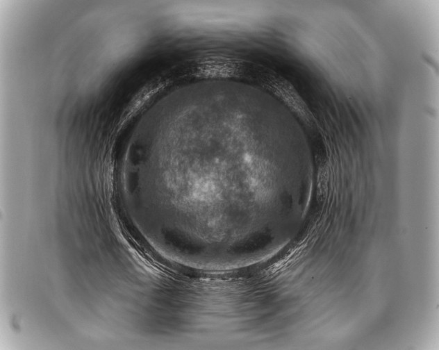 X0000096940722200802081205