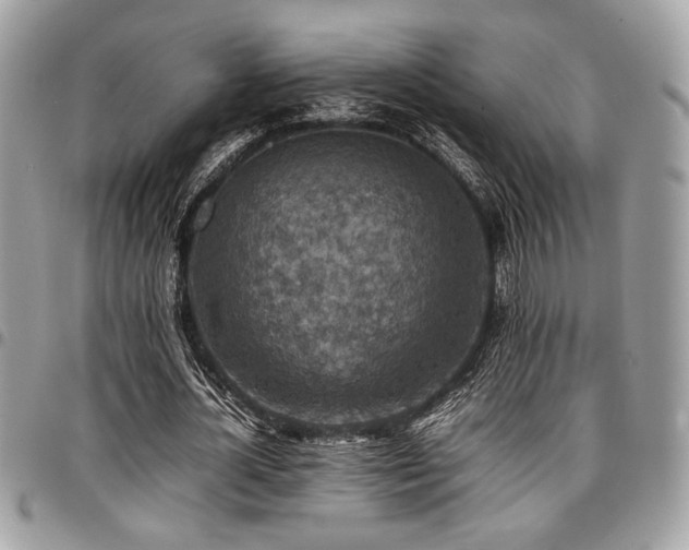 X0000096940724200802081205