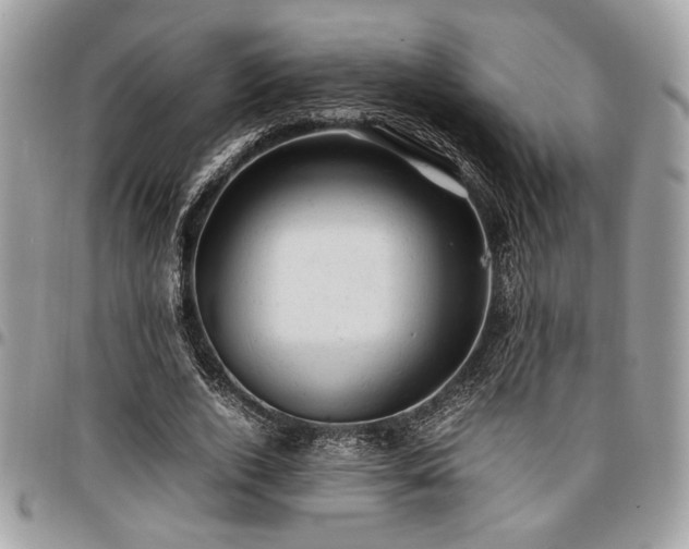 X0000096940728200802081205