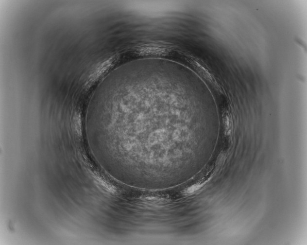 X0000096940729200802081205