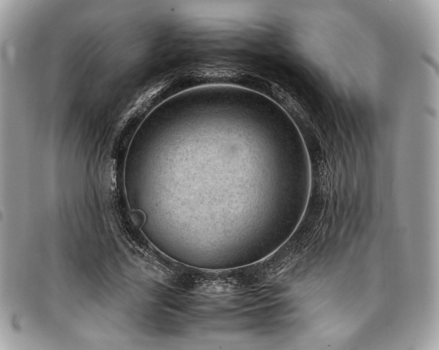 X0000096940731200802081205