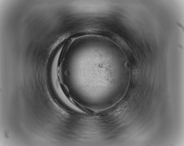 X0000096940734200802081205