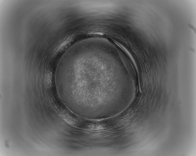 X0000096940735200802081205