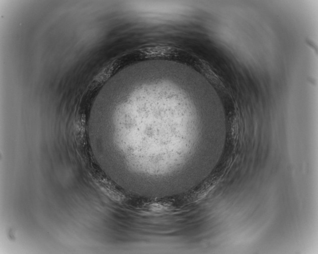X0000096940737200802081205