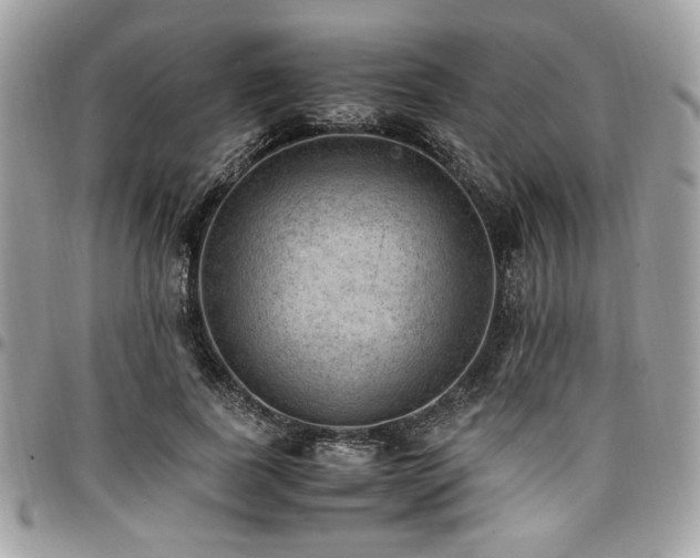 X0000096940739200802081205