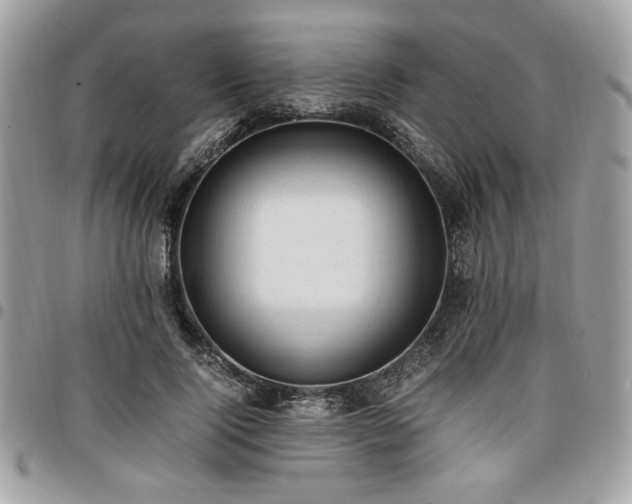 X0000096940740200802081205