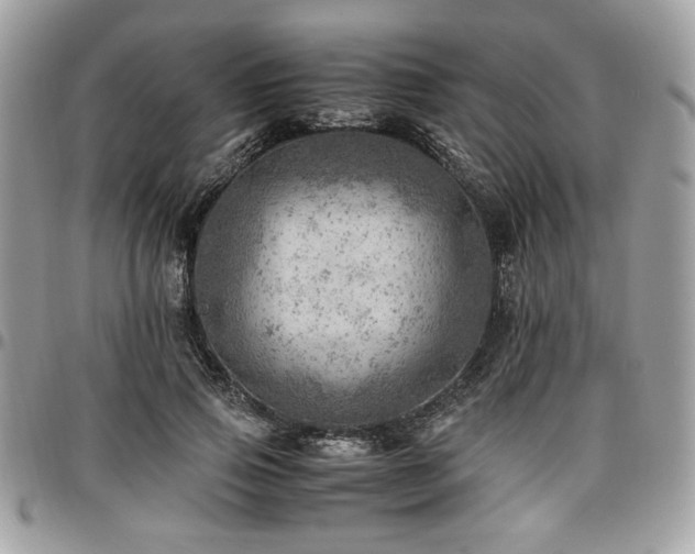 X0000096940741200802081205