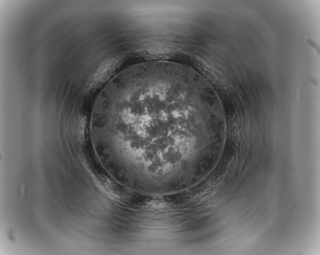X0000096940742200802081205