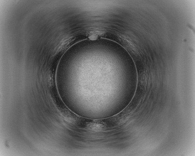 X0000096940743200802081205