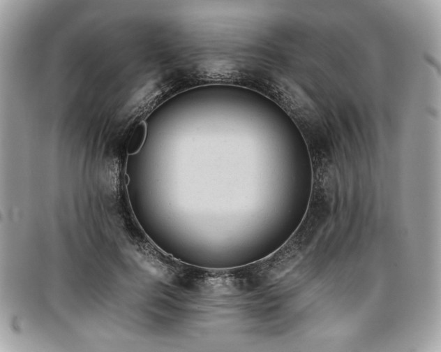 X0000096940744200802081205