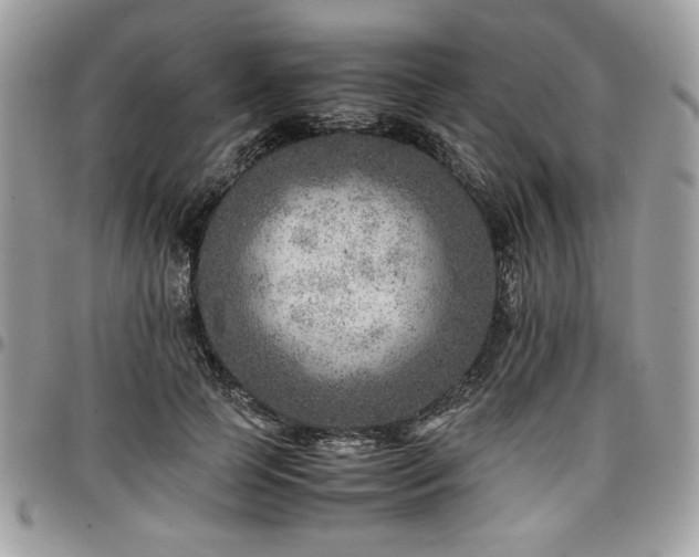 X0000096940745200802081206