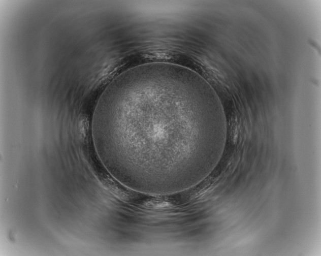 X0000096940747200802081206
