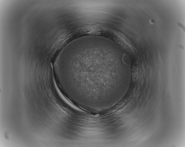 X0000096940748200802081206