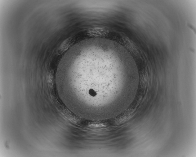 X0000096940749200802081206