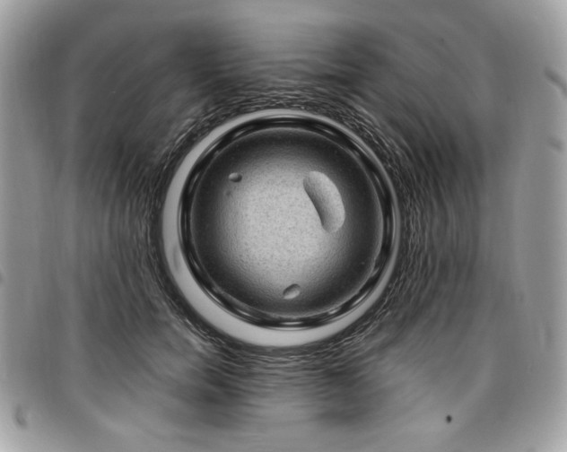 X0000096940750200802081206