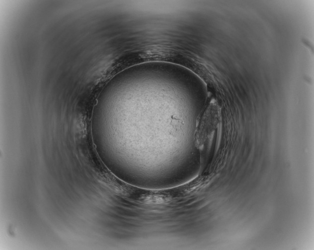 X0000096940751200802081206