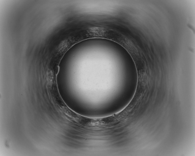 X0000096940752200802081206