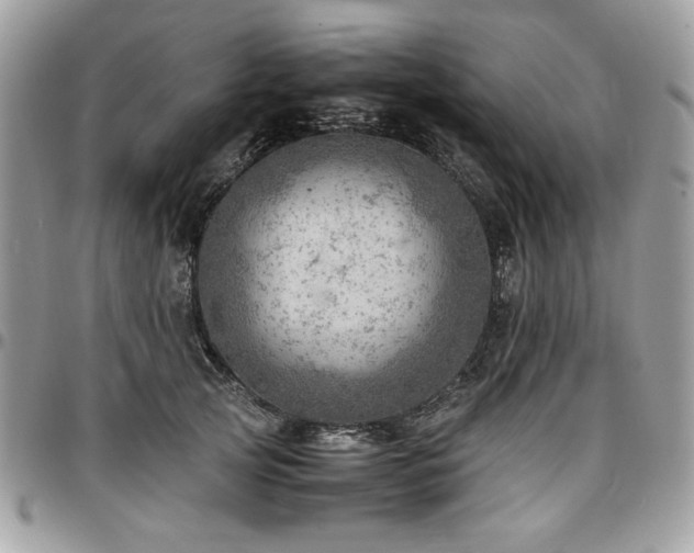 X0000096940753200802081206