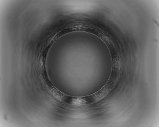 X0000096940754200802081206