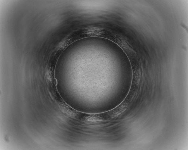 X0000096940755200802081206