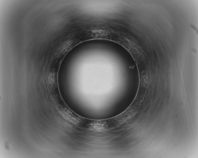 X0000096940756200802081206