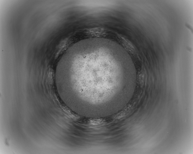 X0000096940757200802081206