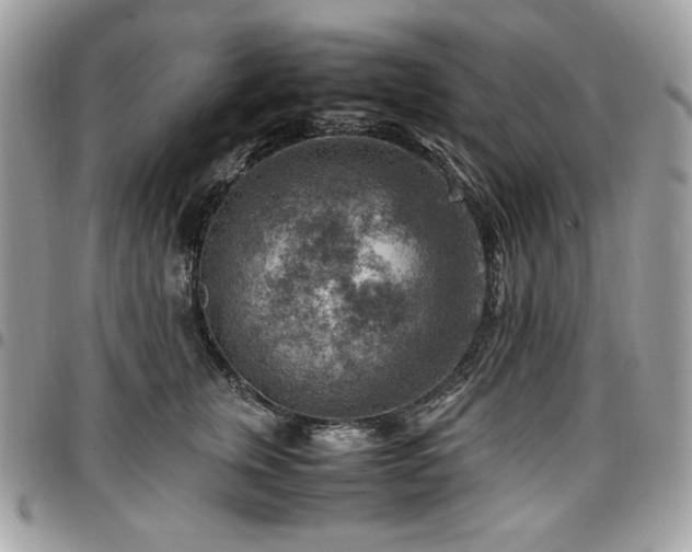 X0000096940759200802081206