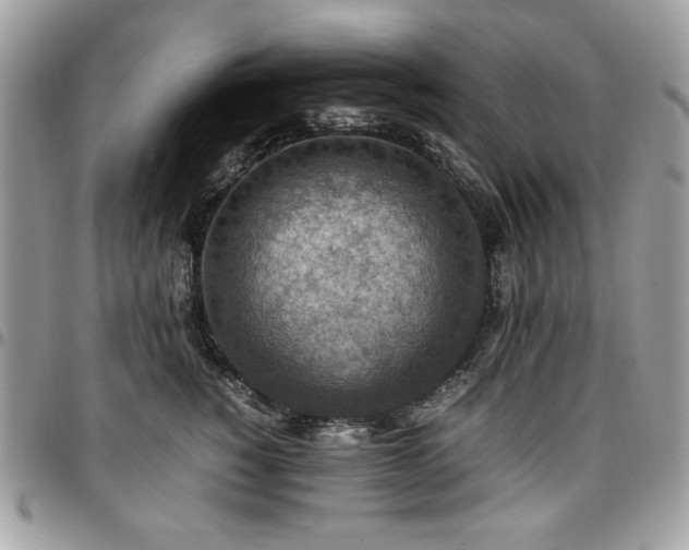X0000096940760200802081206