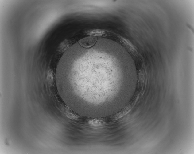 X0000096940761200802081206