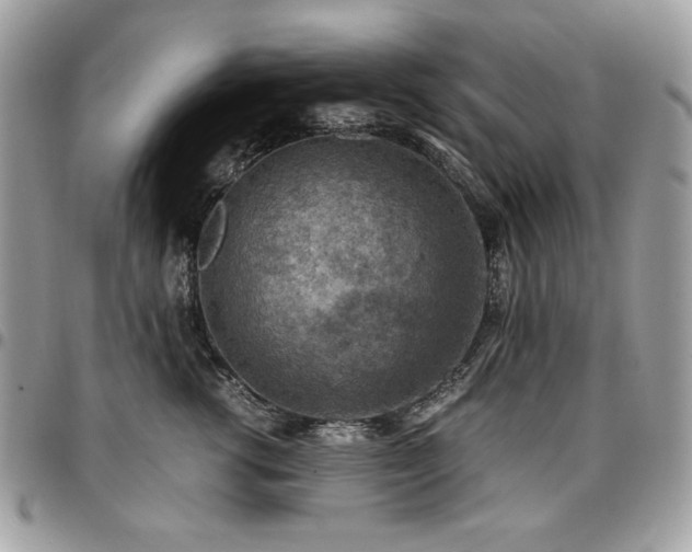 X0000096940762200802081206