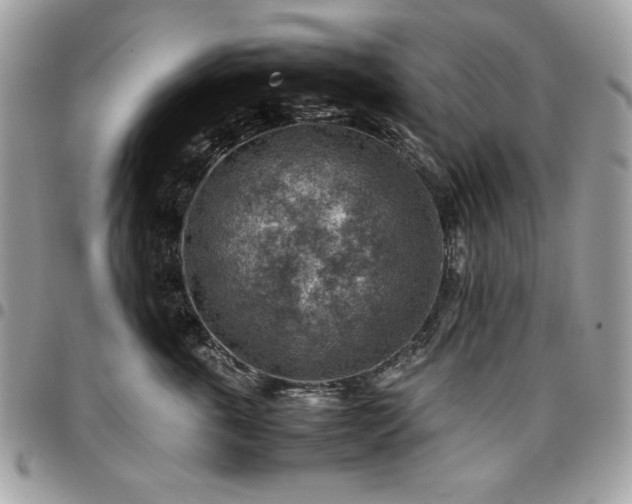 X0000096940763200802081206