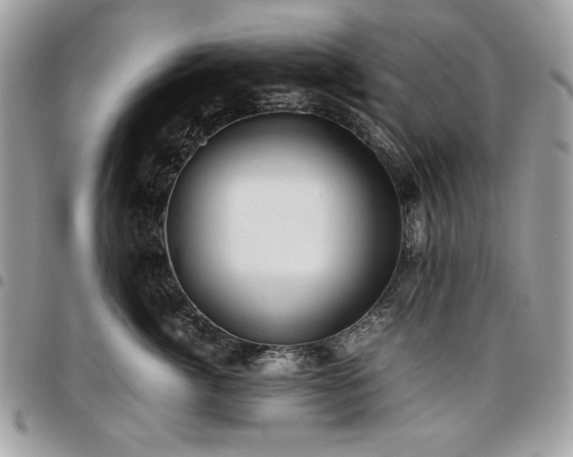X0000096940764200802081206