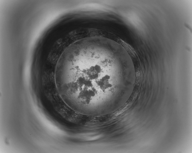 X0000096940765200802081206