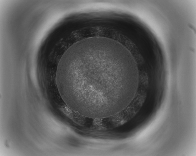 X0000096940766200802081206