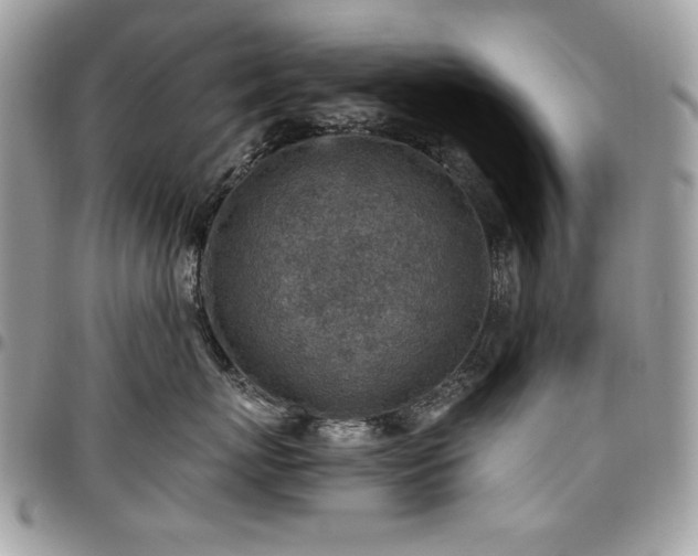 X0000096940767200802081206